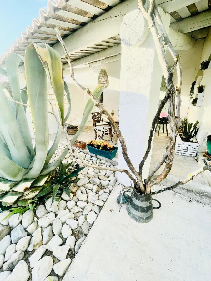 Villa Cabanon Aloe Avec Piscine Chauffee & Bain Nordique à Veaux Extérieur photo